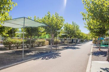 Camping Y Bungalows Monmar