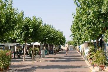 Camping Y Bungalows Monmar
