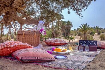 هتل Chez Le Pacha
