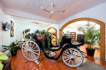 ホテル Hacienda De Vallarta Centro
