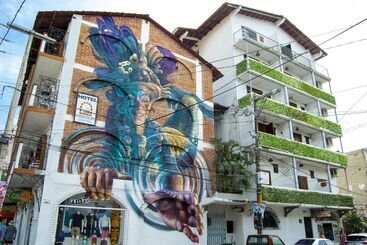 ホテル Hacienda De Vallarta Centro