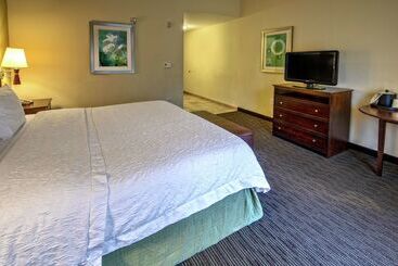 ホテル Hampton Inn & Suites Birmingham/280 Easteagle Point