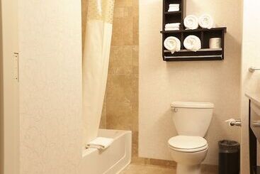 هتل Hampton Inn & Suites By Hilton Lethbridge