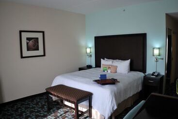 Hotel Hampton Inn & Suites Nashville @ Opryland