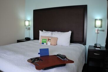 Hotel Hampton Inn & Suites Nashville @ Opryland