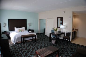 Hotel Hampton Inn & Suites Nashville @ Opryland