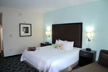 Hotel Hampton Inn & Suites Nashville @ Opryland