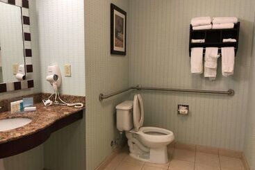 Hotel Hampton Inn & Suites Nashville @ Opryland