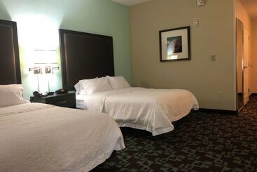 Hotel Hampton Inn & Suites Nashville @ Opryland