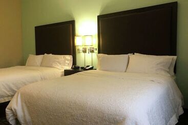 Hotel Hampton Inn & Suites Nashville @ Opryland