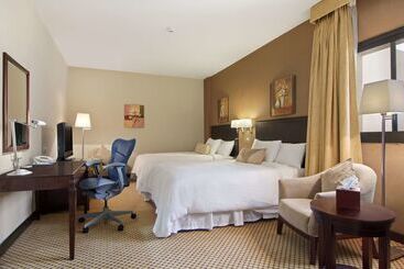 酒店 Hilton Garden Inn Riyadh Olaya