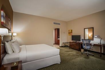 酒店 Hilton Garden Inn Riyadh Olaya