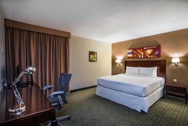 酒店 Hilton Garden Inn Riyadh Olaya