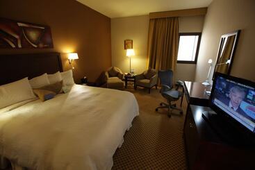 酒店 Hilton Garden Inn Riyadh Olaya