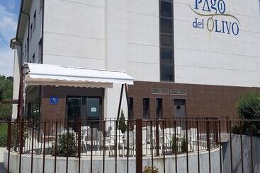 هتل Pago Del Olivo