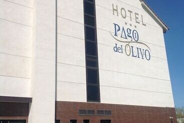 هتل Pago Del Olivo