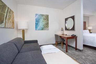 هتل Springhill Suites Pigeon Forge