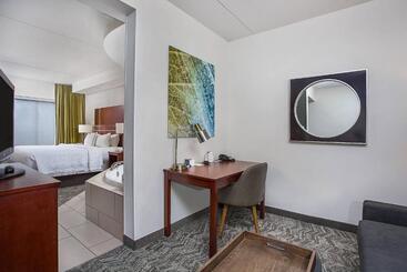 هتل Springhill Suites Pigeon Forge