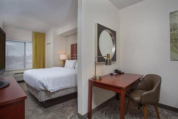 هتل Springhill Suites Pigeon Forge