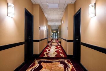 هتل Wingate By Wyndham State Arena Raleigh/cary
