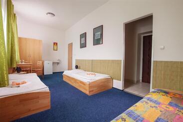 بنسيون Penzión Centrál