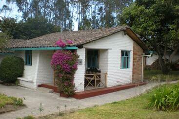 هاستل Las Palmeras Inn