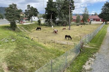 هتل Biri Arena Overnatting