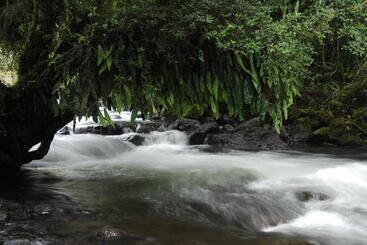 渡假胜地  Termas De Papallacta