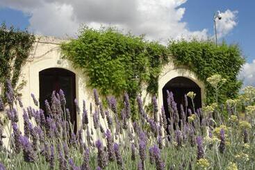 Cefalicchio B&b