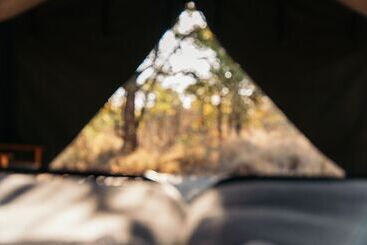 هتل Simbavati Trails Camp