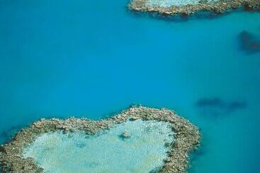 هتل At Waterfront Whitsunday Retreat  Adults Only