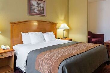 هتل Comfort Inn & Suites Chesapeake  Portsmouth