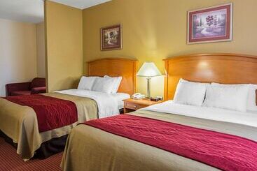 هتل Comfort Inn & Suites Chesapeake  Portsmouth