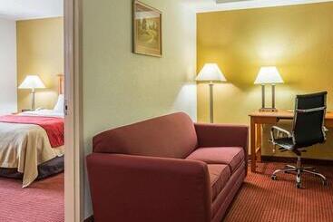 هتل Comfort Inn & Suites Chesapeake  Portsmouth