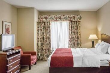 هتل Comfort Suites Daytonwright Patterson