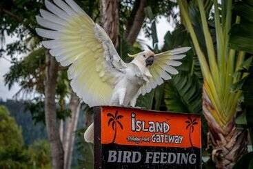 هتل Tasman Holiday Parks   Airlie Beach
