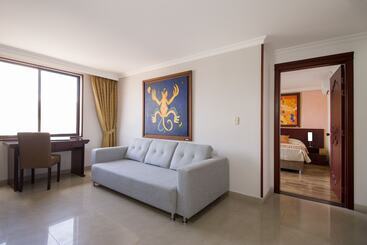 هتل Luxor Plaza Pereira
