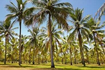 هتل Thala Beach Nature Reserve
