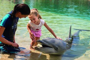 Отель Wyndham Resort Surfers Paradise