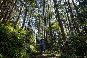 پانسیون Temple Hotel Daitaiji