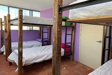 هتل Hostal Mejiquito San Marcos   Hostel