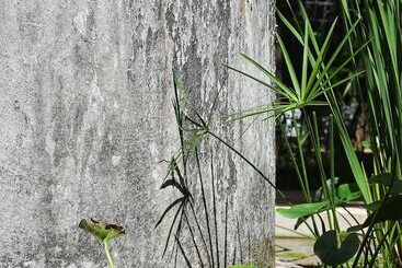 هتل Verde Morada