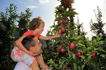 تختخواب و صبحانه Alessia  S Home