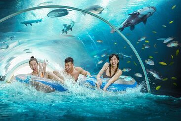 Resorts World Sentosa   Hotel Michael
