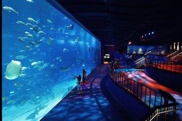 Resorts World Sentosa   Hotel Michael