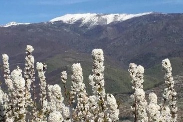 هتل روستایی Rural Xerete