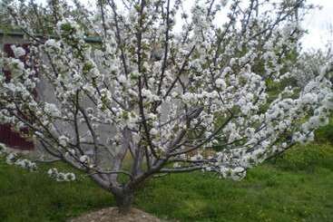 هتل روستایی Rural Xerete