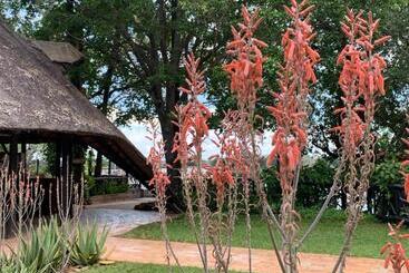 هتل The Victoria Falls Waterfront