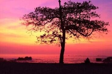 هاستل Cabinas Surf Arribadas