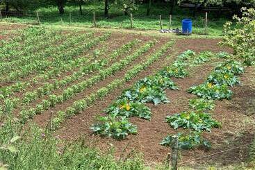 Agroturismo Urresti